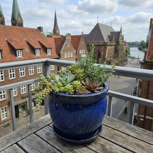 May include: A vibrant blue ceramic planter filled with various succulents and greenery. The round pot sits on a matching saucer on a weathered wooden table. The background features a cityscape with red-tiled roofs and a cloudy sky.