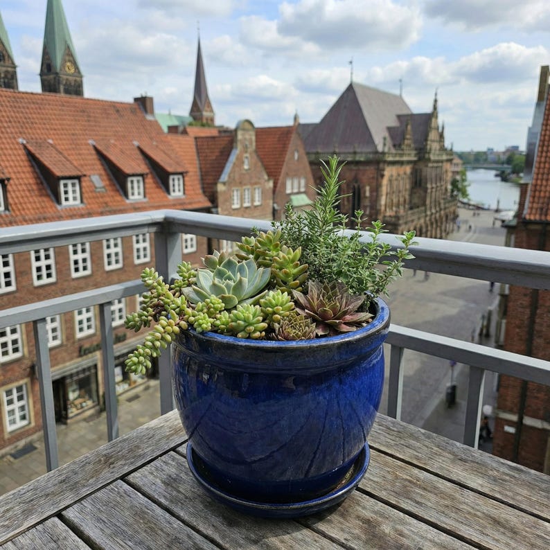 May include: A vibrant blue ceramic planter filled with various succulents and greenery. The round pot sits on a matching saucer on a weathered wooden table. The background features a cityscape with red-tiled roofs and a cloudy sky.