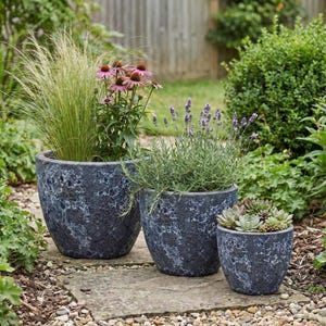 Może przedstawiać: Trzy ciemnoniebieskie, teksturowane ceramiczne donice o różnych rozmiarach, każda wypełniona różnymi roślinami. Największa donica zawiera wysoką zieloną trawę i różowe jeżówki. Średnia donica ma lawendę, a najmniejsza sukulenty.