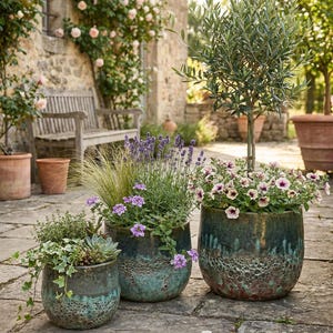 Könnte beinhalten: Drei glasierte Keramik-Blumentöpfe mit Pflanzen, darunter Lavendel und Petunien, stehen auf einer Steinterrasse. Die Töpfe haben eine türkis-braune, gesprenkelte Oberfläche. Ein Olivenbaum und eine Holzbank sind im Hintergrund.