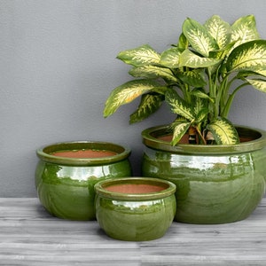 Vaso da fiori Teramico ciotola per piante in ceramica smaltata nei colori blu reale / verde oliva artigianato di alta qualità, assolutamente resistente al gelo immagine 3