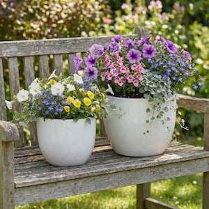 Può includere: Due vasi di ceramica bianca pieni di fiori colorati su una panchina di legno usurata. I fiori includono fiori viola, rosa, blu, gialli e bianchi. La panchina è all'aperto su un prato.