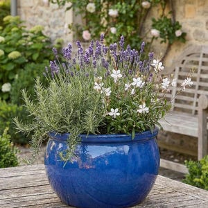 May include: A glossy, cobalt blue ceramic pot overflowing with lavender, rosemary, and white flowers. The pot is on a wooden table. The background features a stone wall and a wooden bench.