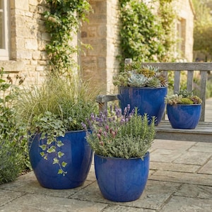 Può includere: Quattro fioriere in ceramica blu cobalto lucido di varie dimensioni, ciascuna riempita di verde e piante fiorite. Le fioriere sono disposte su un patio in pietra, con una panca di legno sullo sfondo. Le piante includono lavanda e piante grasse.