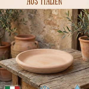 Könnte beinhalten: Eine flache, runde Schale in Terrakotta-Farbe steht auf einem verwitterten Holztisch. Auf der Schale steht "Frostfeste Untersetzer Aus Italien", zusammen mit der italienischen Flagge und Symbolen für Frostbeständigkeit und Wasserdichtigkeit. Olivenpflanzen sind im Hintergrund.
