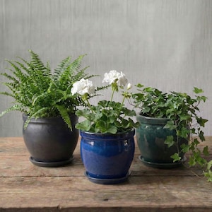 Peut inclure: Trois plantes en pot sur une surface en bois. Les plantes sont dans des pots en céramique de différentes couleurs : gris foncé, bleu et sarcelle. Les plantes comprennent une fougère, une plante à fleurs blanches et une plante de lierre retombante. Les pots ont des soucoupes assorties.