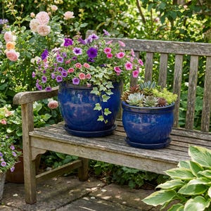 May include: Two cobalt blue ceramic planters filled with vibrant flowers and succulents sit on a weathered wooden bench. The larger pot overflows with pink, purple, and white petunias, while the smaller one features a variety of succulents.