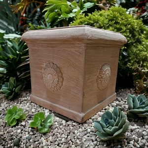 Pflanzgefäß Blumentopf Terrakotta Modell Cubo con Rosone 35cm Bild 7