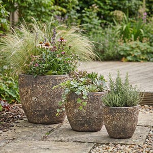 Op de afbeelding: Drie verweerde, getextureerde bruine keramische plantenbakken van verschillende groottes, elk gevuld met verschillende planten. De grootste plantenbak bevat hoog siergras en paarse bloemen. De andere twee bevatten vetplanten en kruiden.