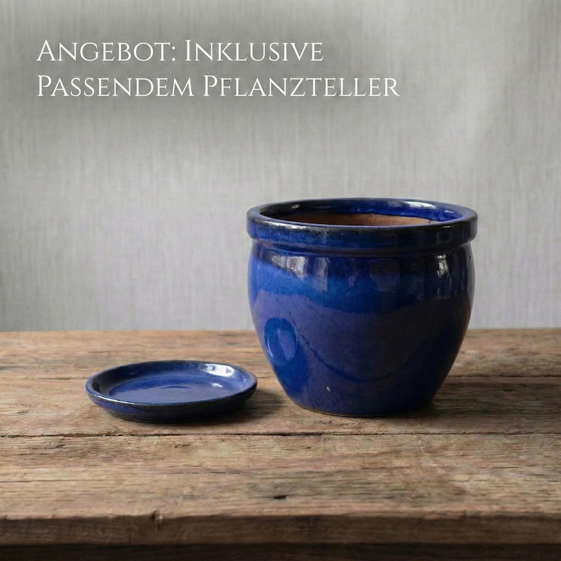 May include: A glossy, cobalt blue ceramic planter with a matching saucer sits on a weathered wooden surface. The planter has a rounded shape and a wide opening. The text on the image reads: "OFFER: INCLUSIVE MATCHING PLANT TRAY."