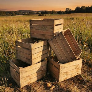 Second-hand fruit crates 50x40x30cm - Rustic wooden crates, B-grade, for garden & DIY - Old wine crates, sturdy but with defects - Vintage decorative shelf image 3