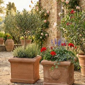 Kwadratowa donica z terakoty, odporna na mróz | Doniczka ogrodowa | Włoska kwadratowa donica gliniana | Cubo Liscio & Rosone