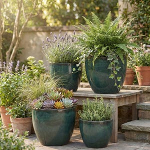 Könnte beinhalten: Eine Sammlung von Topfpflanzen in einem Garten. Mehrere dunkelgrüne, glasierte Keramiktöpfe enthalten verschiedene Pflanzen, darunter Farne, Sukkulenten und Kräuter. Die Töpfe sind auf einer Holzbank und Steinstufen angeordnet.