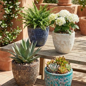 Può includere: Quattro piante in vaso su un tavolo di legno. Le piante includono una felce in un vaso blu, ortensie bianche in un vaso colorato chiaro, una pianta di agave in un vaso marrone e piante grasse in un vaso turchese.