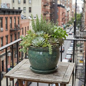 May include: A large, teal glazed ceramic planter filled with a variety of succulents and herbs, including rosemary and basil. The planter sits on a small wooden table on a balcony overlooking a city street.
