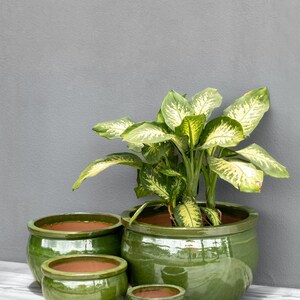 Vaso da fiori Teramico ciotola per piante in ceramica smaltata nei colori blu reale / verde oliva artigianato di alta qualità, assolutamente resistente al gelo immagine 4