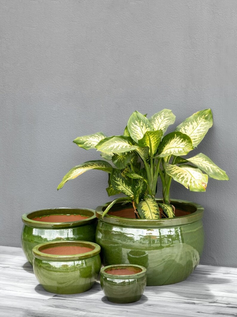 Vaso da fiori Teramico ciotola per piante in ceramica smaltata nei colori blu reale / verde oliva artigianato di alta qualità, assolutamente resistente al gelo immagine 4