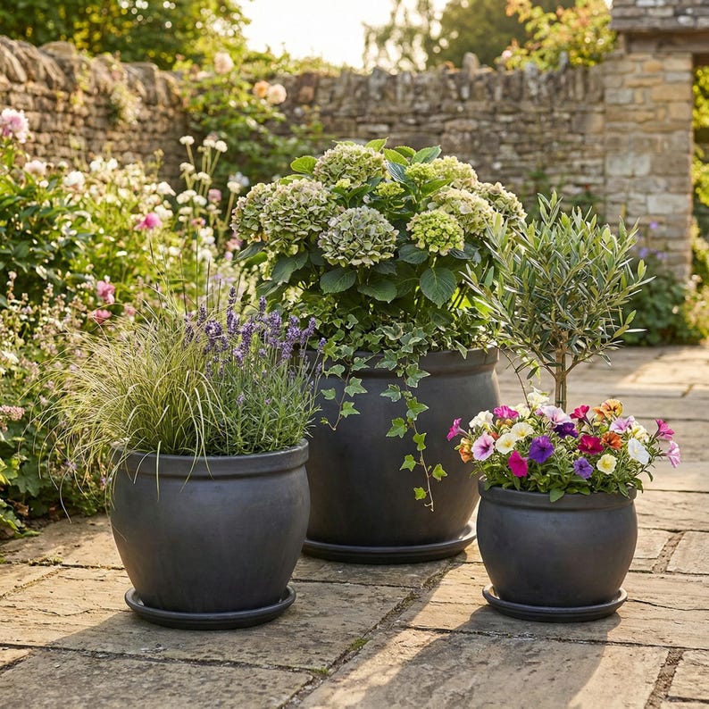 May include: Three dark gray ceramic planters of varying sizes, each with a matching saucer. The planters hold a variety of plants, including lavender, hydrangeas, and colorful petunias, creating a vibrant garden scene.
