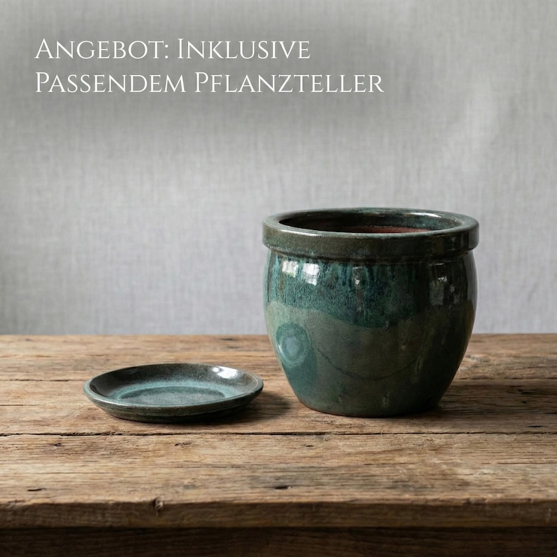 May include: A teal ceramic planter with a matching saucer sits on a rustic wooden surface. The planter has a rounded shape with a dark rim and a textured, glazed finish. The text "ANGEBOT: INKLUSIVE PASSENDEM PFLANZTELLER" is visible.