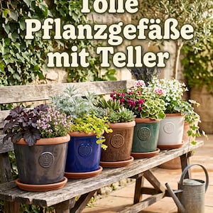 Può includere: Una collezione di cinque vasi per piante in ceramica smaltata nei colori grigio, blu, marrone, verde e bianco, ciascuno con un emblema circolare in rilievo e un sottovaso in terracotta abbinato, contenenti varie piante su una panca.