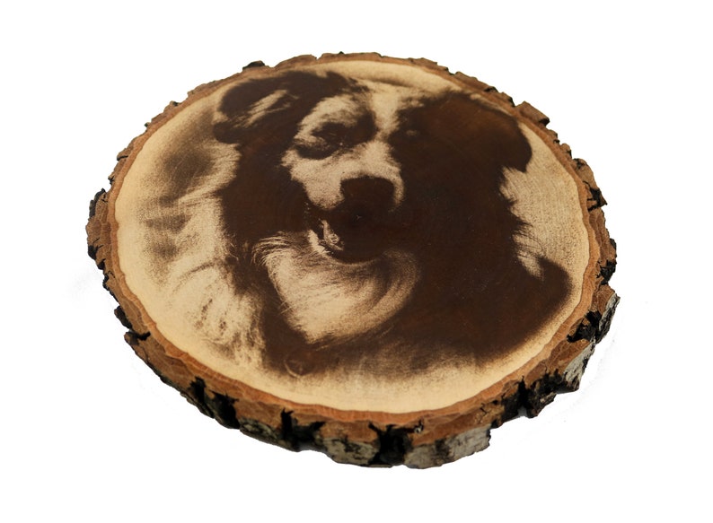 May include: A wood slice with a black and white photo of a dog's face burned into the surface.