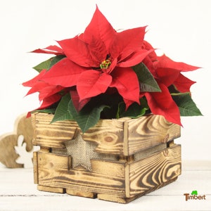 Vintage Flower Box Christmas Gift Rustic Wooden Box with Star Fruit Box for Flowers Gift Box Wooden Flower Pot Poinsettia