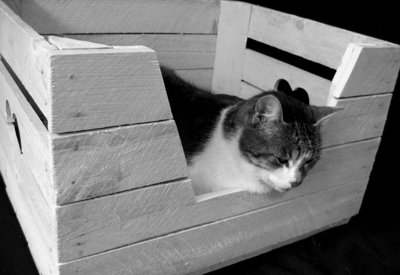Rustikaler KATZENKORB mit LIEGEKISSEN aus Holz Katze Hund Katzenkörbchen Tierbett aus einer alten Holzkiste Vintage OBSTKISTE Shabby weiß Bild 6