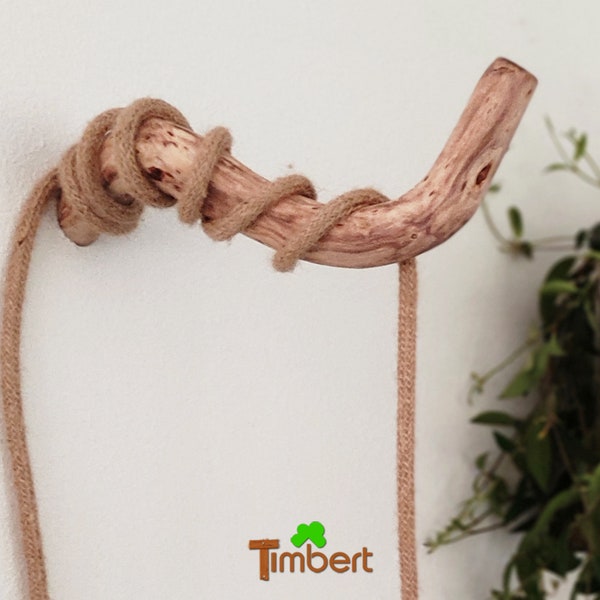 Rustic wall hooks made of branch wood, Ø 3-4 cm • Quaint wild wood hooks • DIY wall lamp • Natural wood lamp hanger • Branch plant hanger