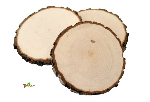 20 Rondelles De Bois Naturel 9-10 Cm – Sans Trou, Pour DIY, Décoration Noël, Mariage, Peinture