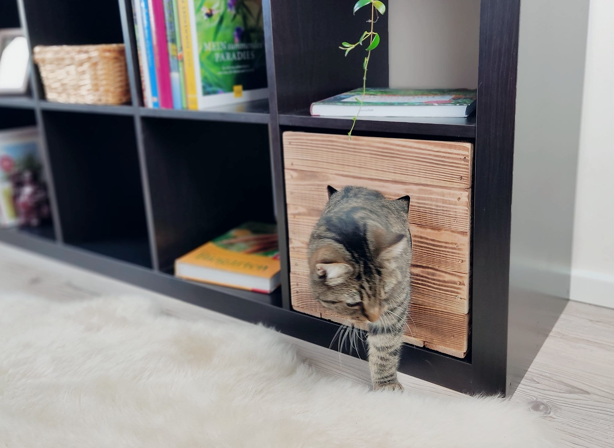 KALLAX CAT CAVE Made of Solid Wood Rustic Cuddle Cave Chest