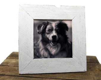 Può includere: Cornice per foto in legno bianco con una foto in bianco e nero di un cane all'interno. La cornice ha un aspetto rustico e usurato.