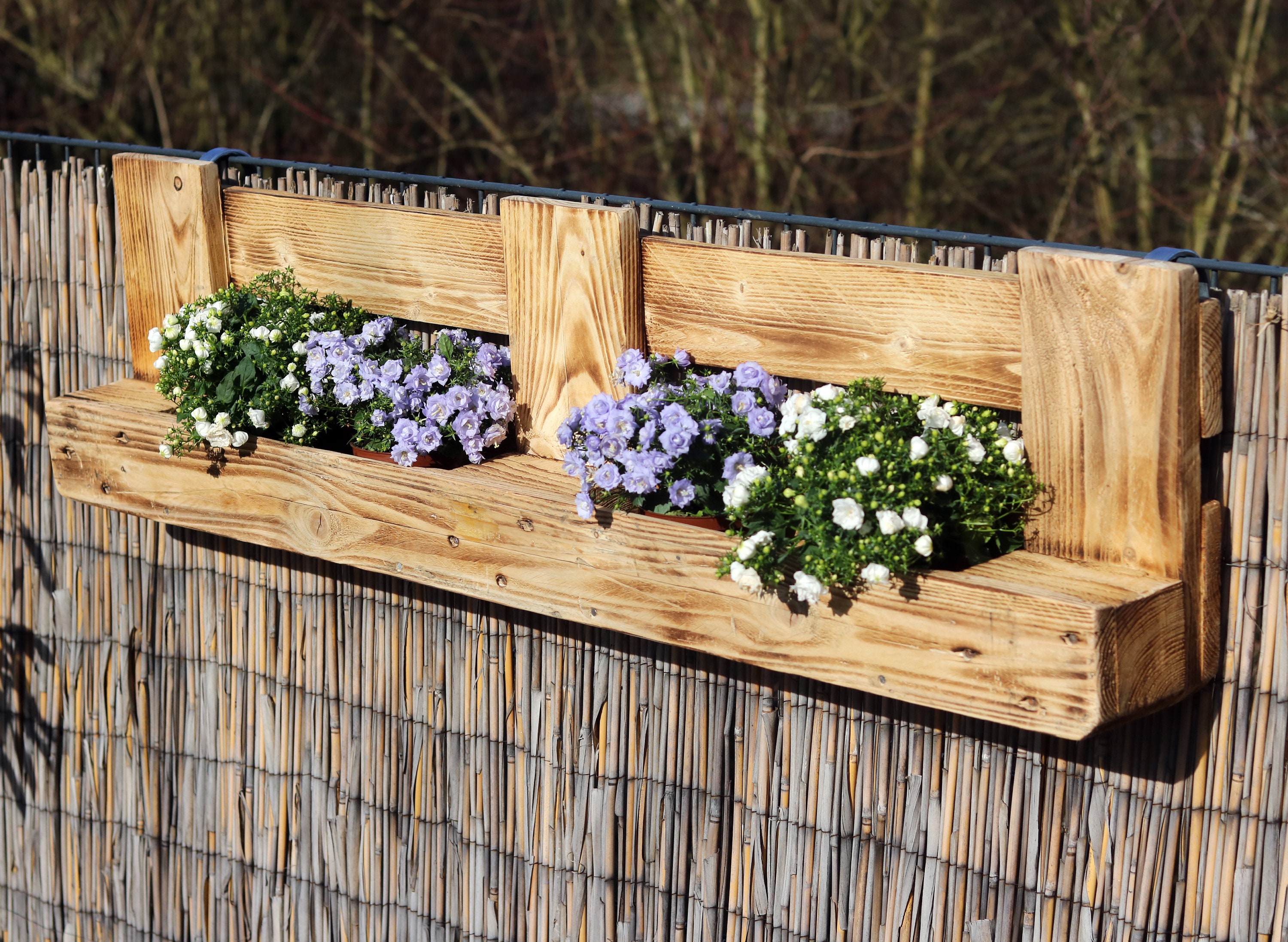 kuh blumenkasten Kuh mit Blumenkranz
