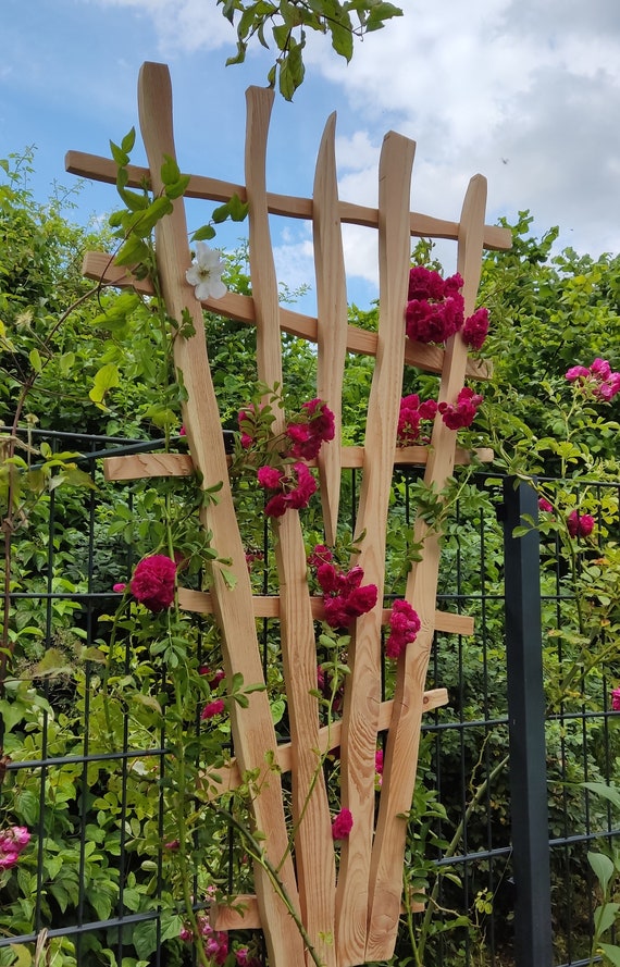 Climbing Aid for Climbing Roses Clematis Climbing Plants Trellis Wooden  Trellis Made of Larch Slatted Frame Made of Solid Wood Garden Decoration  Privacy Screen - Etsy