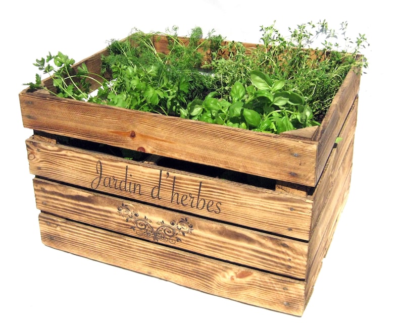 May include: A wooden crate with the words "Jardin d'herbes" inscribed on the side. The crate is filled with various herbs, including parsley, dill, and thyme.