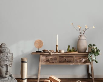 Zacht zilverkleurig behang / Effen kleur / Minimalistisch ontwerp in zacht zilvergrijs - E237
