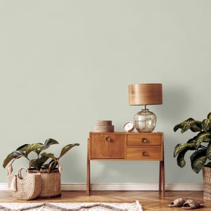Könnte beinhalten: Ein Raum im modernen Stil der Mitte des Jahrhunderts mit einem Holzschrank, einer Glaslampe und einem geflochtenen Korb mit einer Pflanze. Der Raum hat eine hellgrüne Wand und einen Holzboden. Eine kleine Uhr und zwei runde Boxen befinden sich auf dem Schrank.
