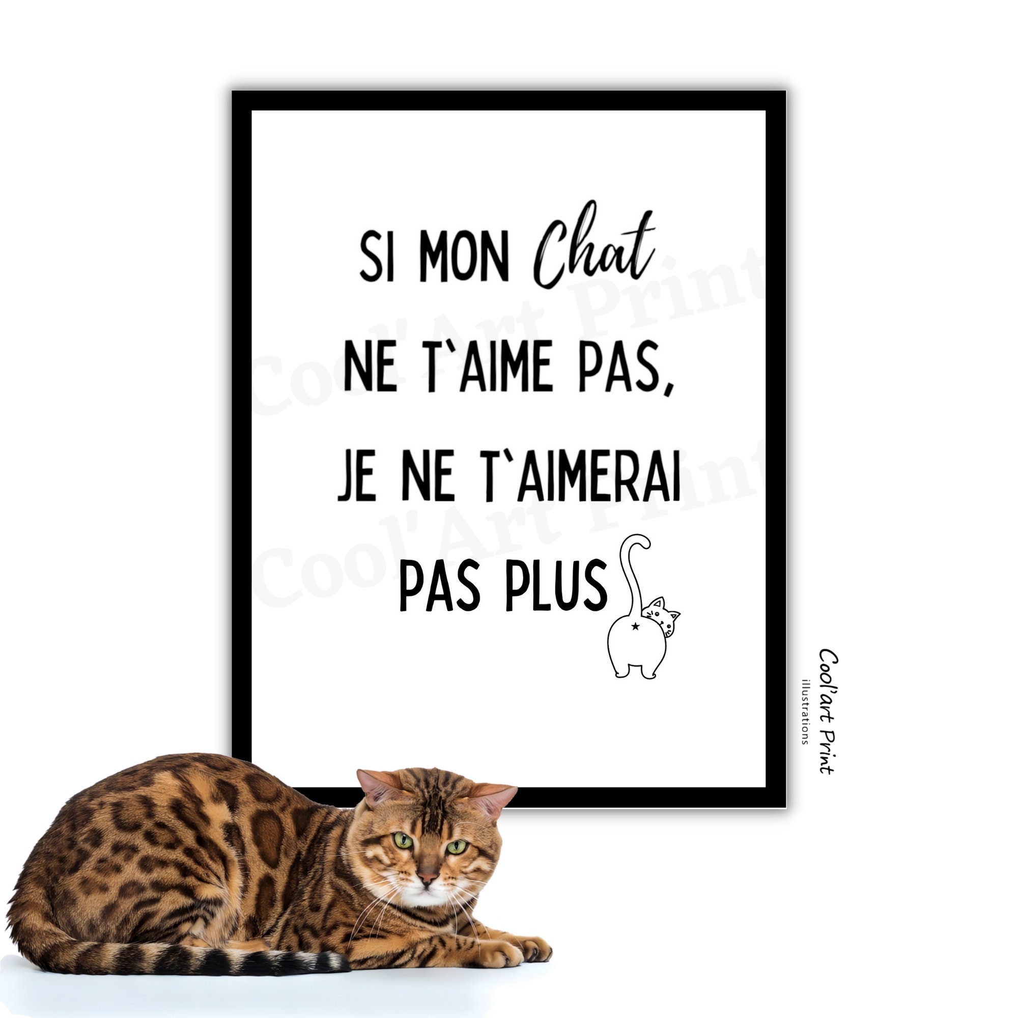 Citation Drole De Chat Etsy Canada