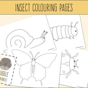 Printable Insect Colouring Pages (Butterfly, Caterpillar, Ladybirdy, Snail) DOWNLOAD