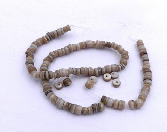 Pearls washers in mother-of-pearl, diameter 5 mm, light brown, sold in batches of 10 pearls, jewelry supplies, creative recreation