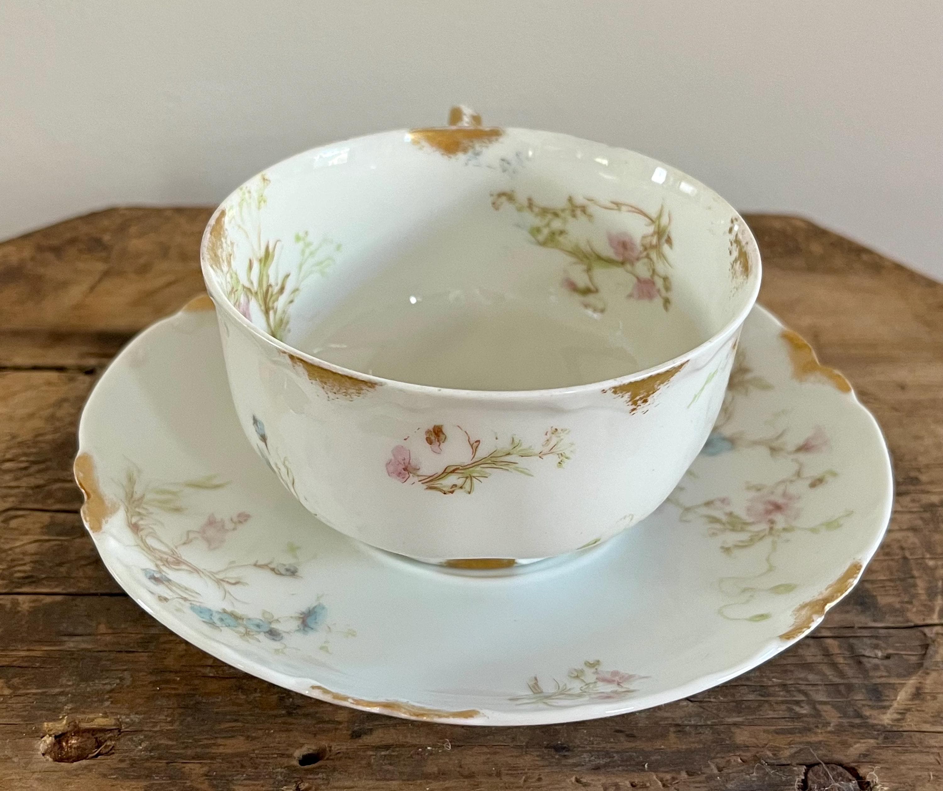 Haviland Schleiger 71A Flat Cup & Saucer Set Pink Roses Blue