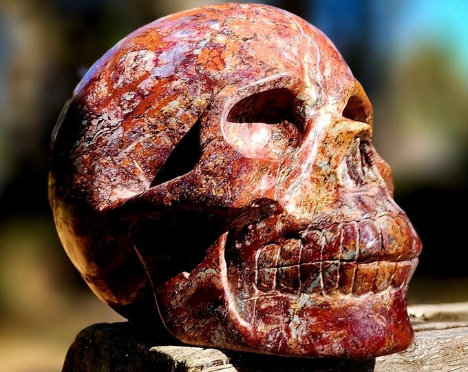 Pietersite Skull-Carved Skull