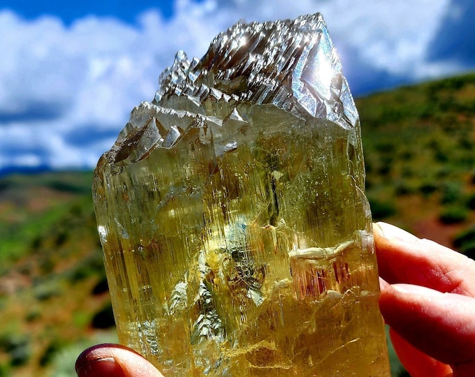 Kunzite, Golden, Rare Large Multi Terminated Collectors Piece
