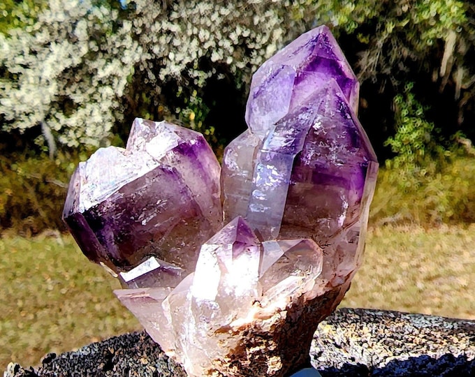 Amethyst Brandberg Cluster