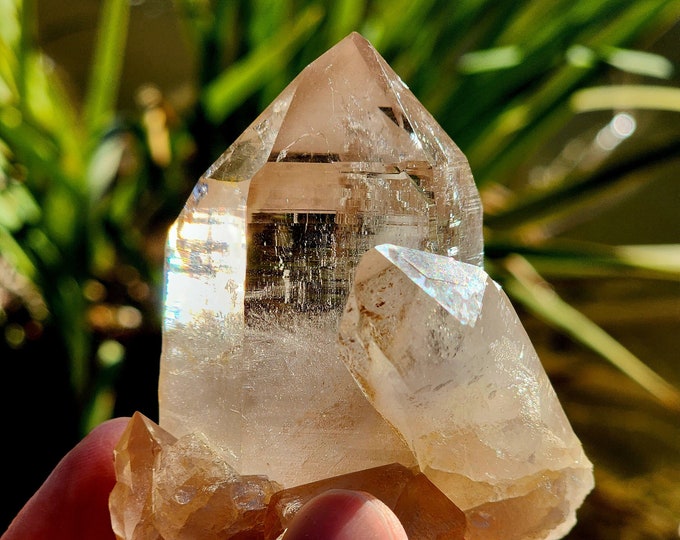 Smoky Himalayan Quartz