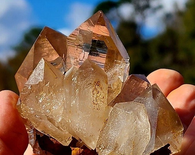 Smoky Himalayan Quartz Cluster
