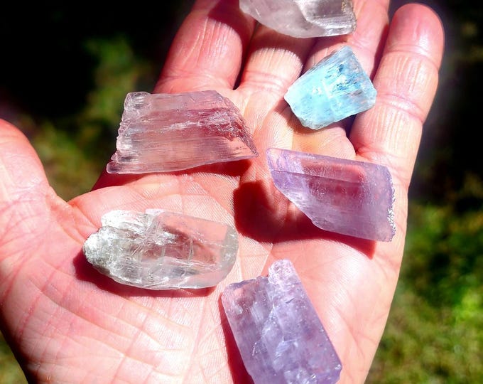 Multi-Colored Kunzite Lot