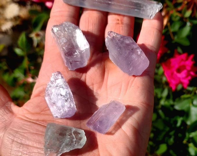 Multi-Colored Kunzite Lot