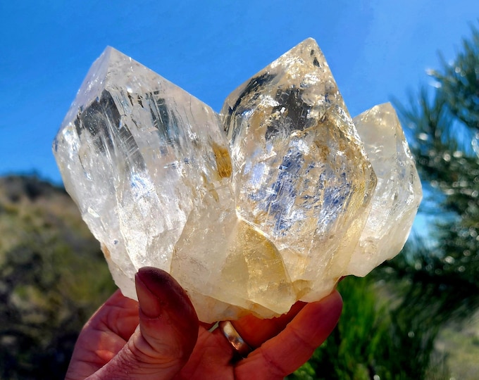 Large Lemurian Himalayan Golden Healer Quartz Crystal