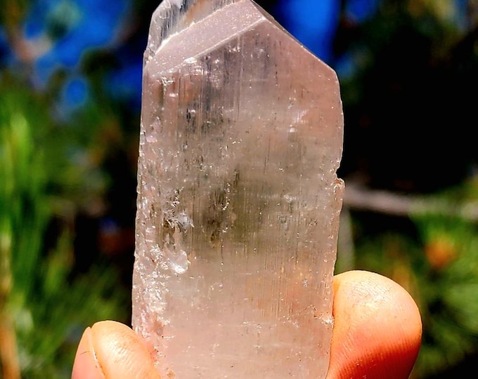 Golden Kunzite-Pink Termination Top-Super Sweet Piece