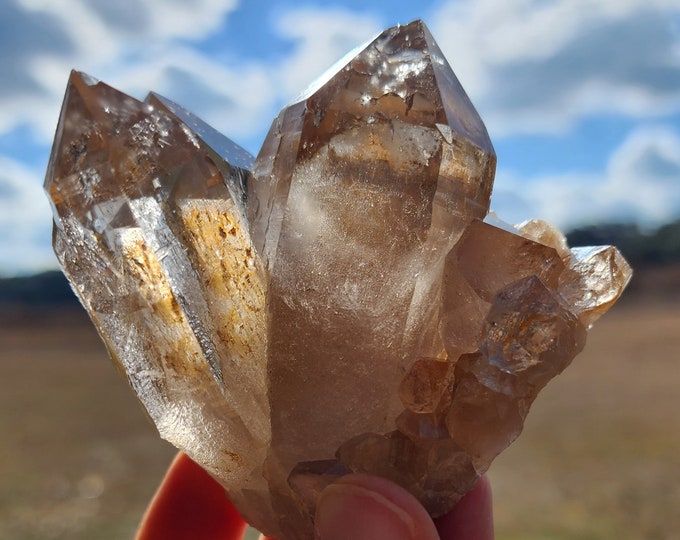 Smoky Himalayan Quartz Cluster